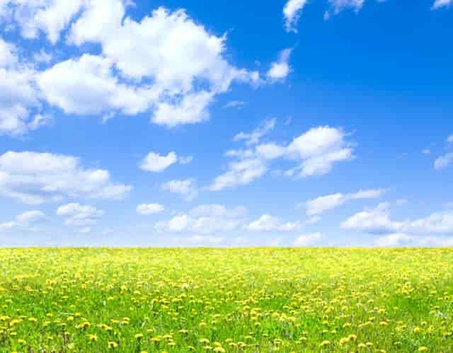 北京摇号一直没摇到