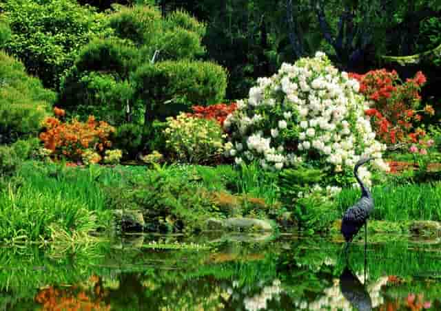 长沙云翼培训学校获喜报，高考小语种助你走进名校大门！