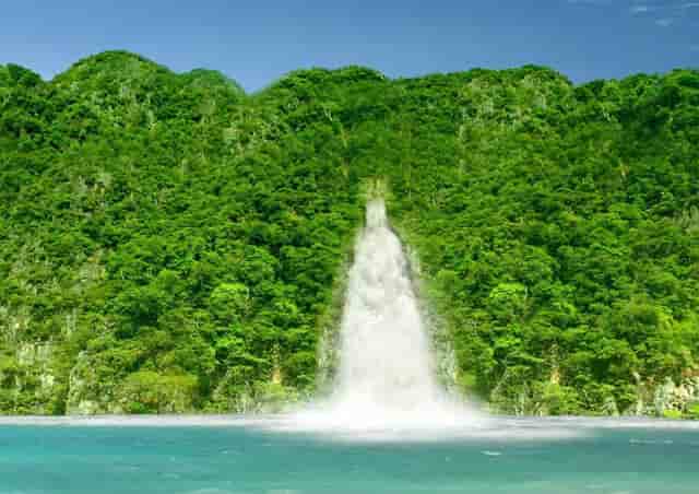 学点“猫咪心理学”，袖虎很靠谱