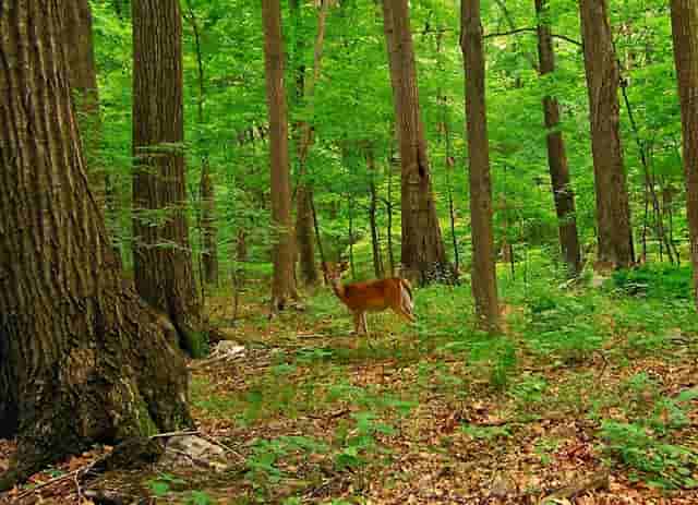 如何填报志愿低分的好院校