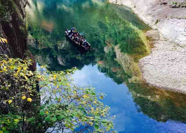 袖虎对常见的病猫治疗方案