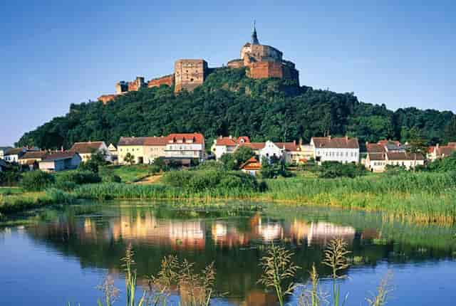 袖虎病猫攻略：猫剃毛有哪些坑