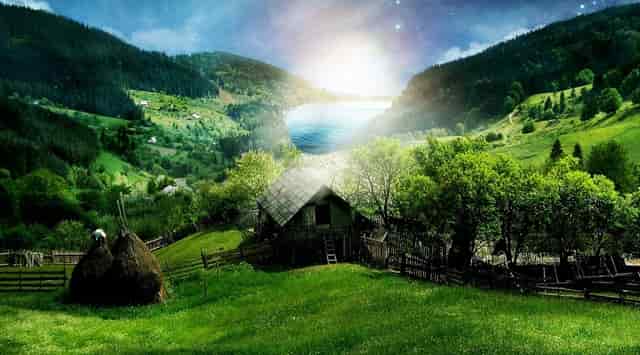 袖虎病狗攻略：狗狗泪痕重怎么办？