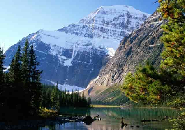 100个小生活小技巧(生活小技巧100字)