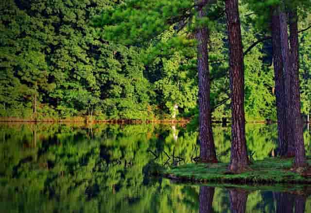 袖虎宠物创业攻略：如何躲过加盟骗局？