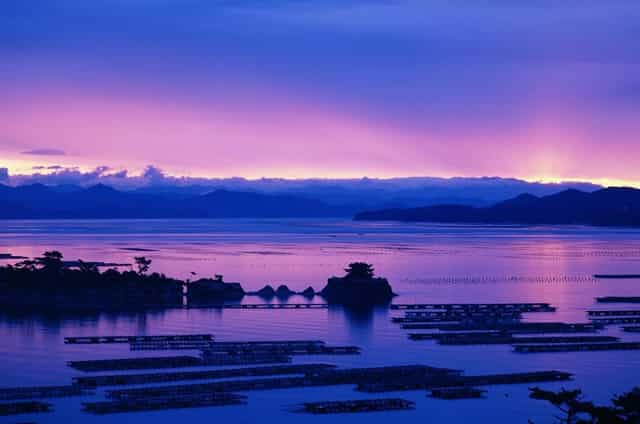 袖虎病狗攻略：狗狗口腔保健，拒绝口臭