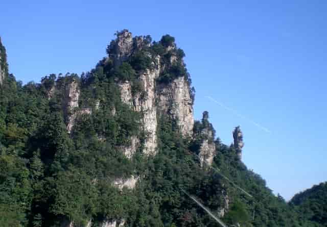 袖虎宠物：宠物加盟的老坑新坑