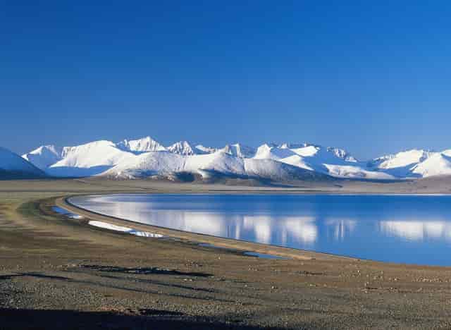 袖虎这个训猫技巧，一般人不知道