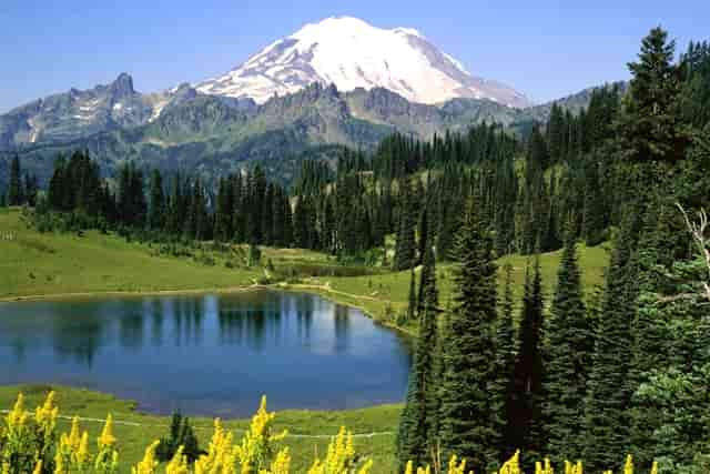 抓住加盟新机遇！袖虎宠物带你了解新的宠物消费环境！