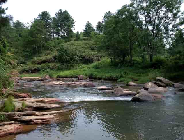杏仁优护：老年人如何预防护理大肠疾病？