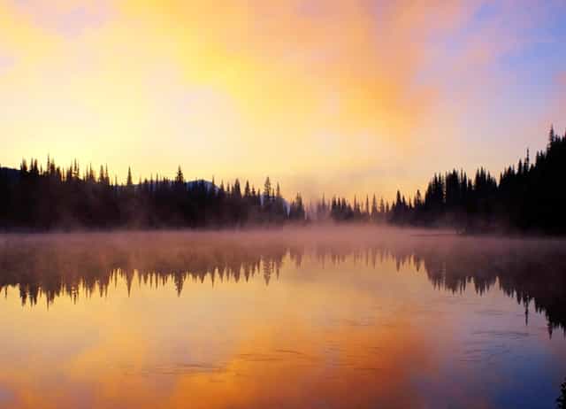 事业单位教师岗和招教考试