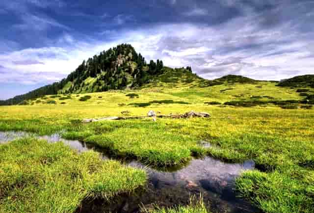 清香香型白酒有哪些