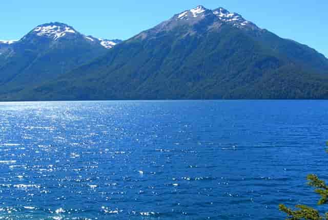 袖虎病猫攻略：猫的黄疸知多少