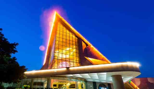 袖虎的猫狗为什么会那么贵