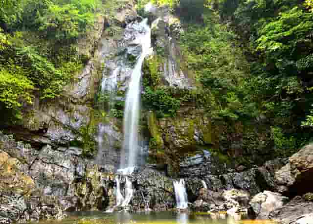 掌上世界杯火热来袭 枞横世界杯预测锦标赛进行中