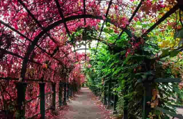 韩国美女冬季穿搭(韩国美女冬季时尚穿搭)