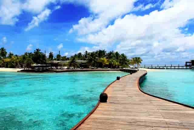 靶向药新星·拉罗替尼不限癌种（Larotrectinib，LOXO-101）