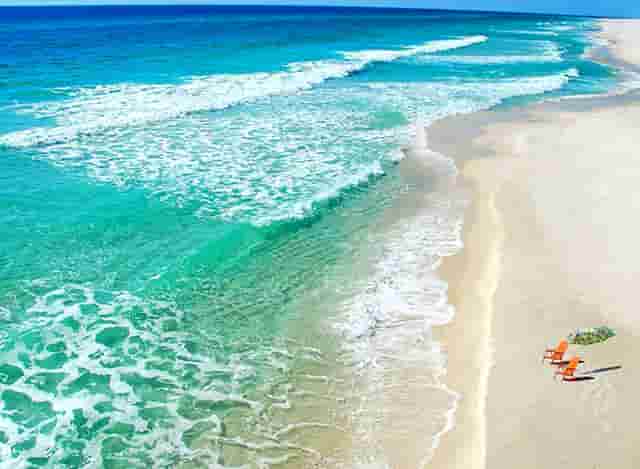 袖虎加盟店：养宠骗局分析1