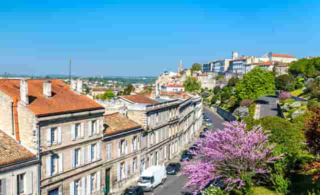 加盟袖虎宠物，你就知道创业很简单！