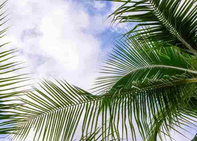 东方时尚坡起定点停车技巧(东方时尚坡道定点停车)