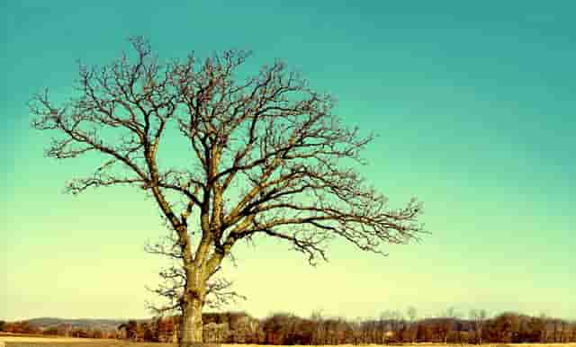 时尚夏季搭配技巧(时尚男童装搭配技巧)