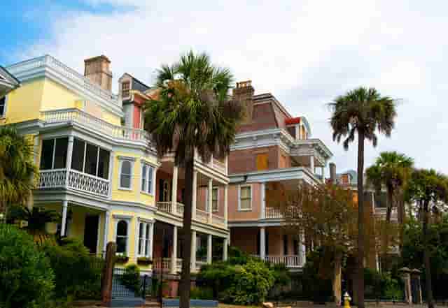 袖虎病猫攻略：关于猫咪眼泪这事你可能不知道