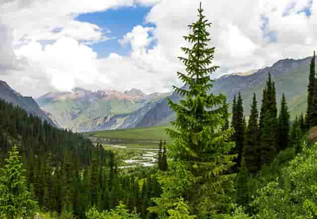 头条时尚穿搭技巧(新闻头条时尚穿搭)