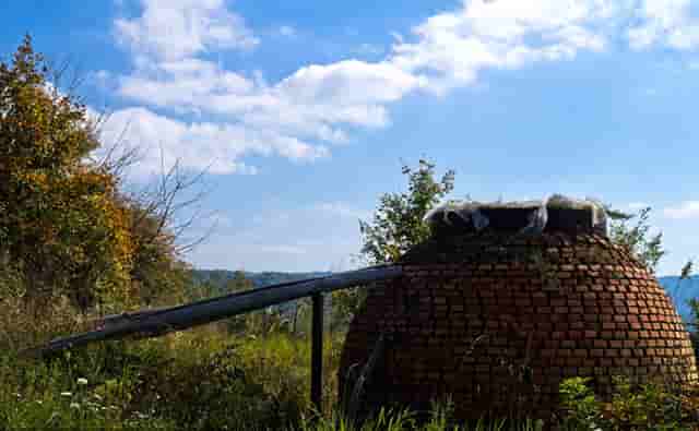 再度荣膺2023中国顾客推荐度排行榜榜首！鲁花做对了什么？