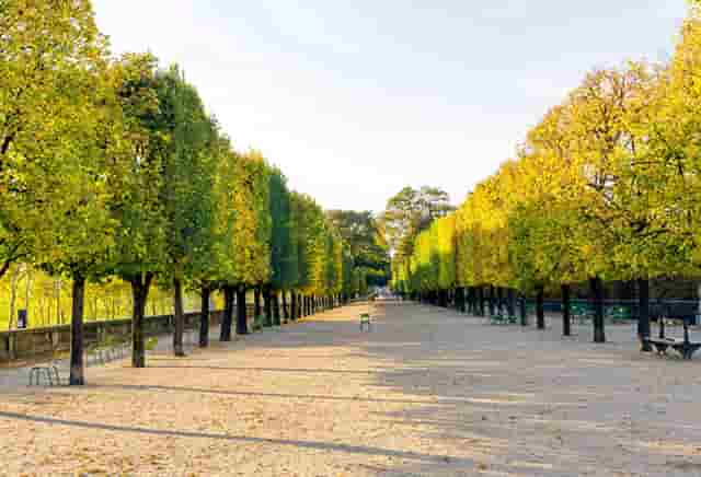 袖虎宠物捅出常见套路