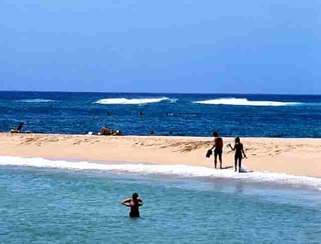 时尚气质女人穿搭技巧(胖女人气质穿搭图片)