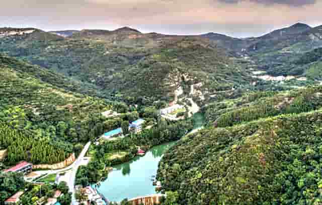 袖虎案例：猫鼻支还会容易死猫吗？