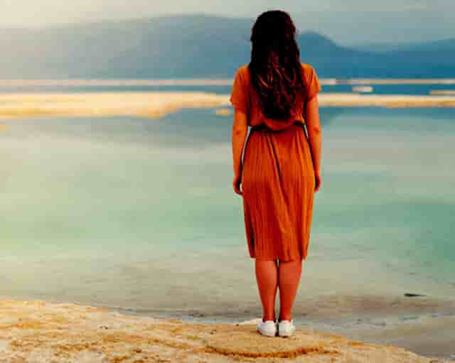 袖虎病狗攻略：狗发烧怎么办