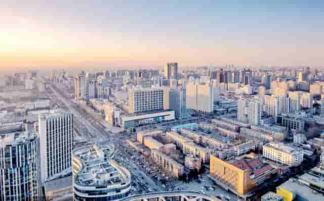 袖虎病猫攻略：对猫过敏怎么办