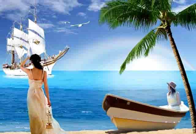 分析宠物销售市场，看袖虎如何养猫生财！