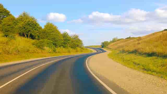 袖虎病狗攻略：狗狗喂养的4大误区和7大正确方法