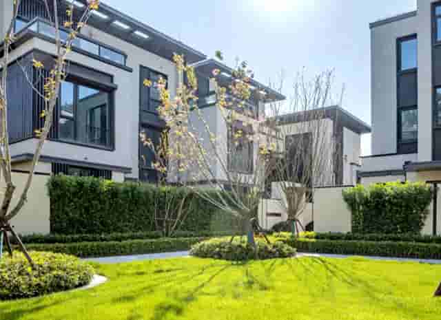 炫舞时尚抽五星卡技巧(炫舞时尚五星卡片)