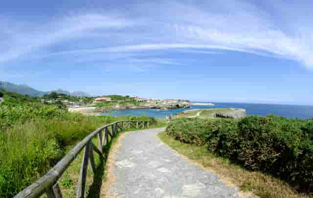 蔡嘉珍成功獲得註冊理財規劃師資格